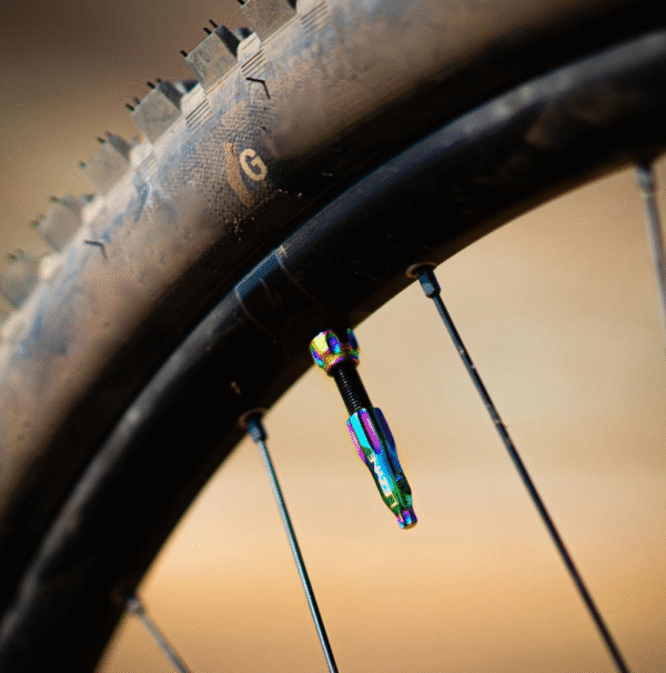 20F28626-9935-4BD8-8CC2-330546993CF0